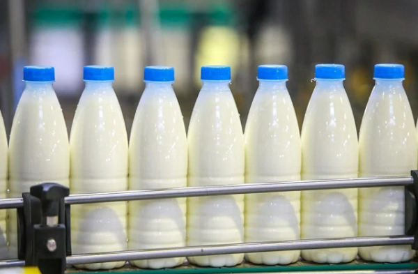 Роспотребнадзор рассказал об ответственности за производство молочной продукции без маркировки