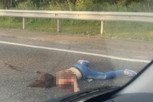 На Пятницком шоссе внедорожник насмерть сбил девушку