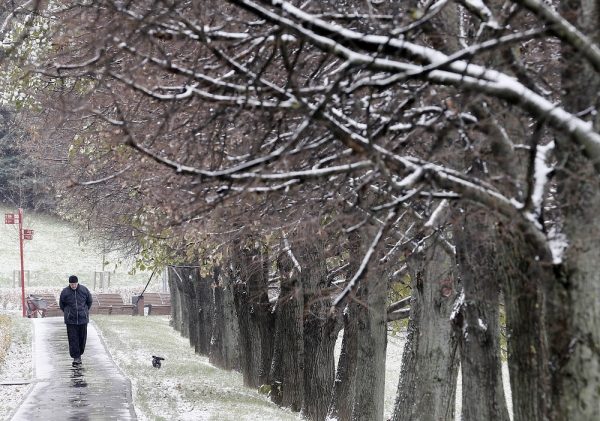 В московском регионе выпало почти 5 см снега