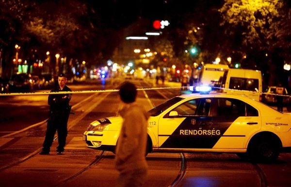 Венгерские спецслужбы задержали предполагаемого организатора взрыва в Будапеште