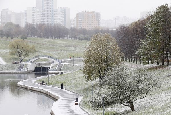 В московском регионе выпало почти 5 см снега