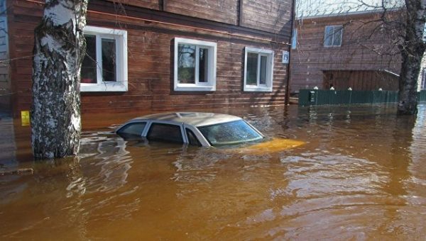 Подмосковную деревню Бородки затопило