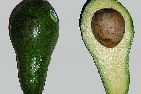Ученые: женщинам полезно есть авокадо