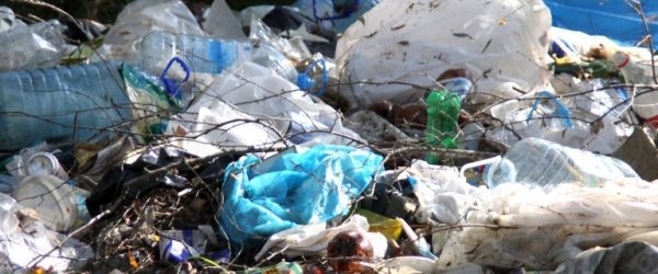 
			
												
				Госадмтехнадзор выявил навалы мусора в Солнечногорске в ходе рейда