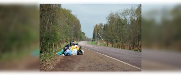 
			
												
				Собранный в ходе субботников мусор уберут до 28 апреля