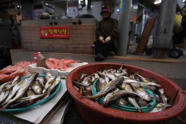Россельхознадзор дал добро не проверять японскую рыбу