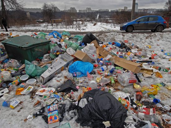 Москва и область объединятся в  борьбе с мусором
