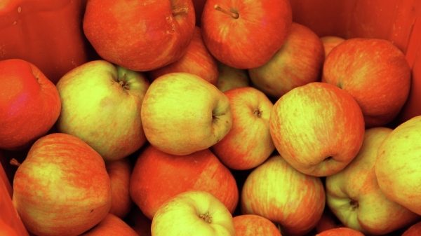 Свыше 40 кг фруктов раздали участникам акции «Здоровый город» в Королеве