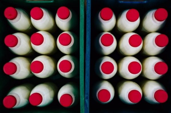 Семьсот литров подмосковного молока продали на «Ценопаде» в Домодедове