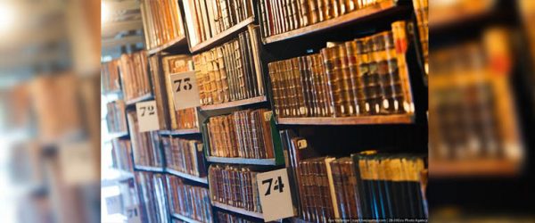 
			
												
				Библиотеку Станислава Лесневского открыли в Солнечногорске