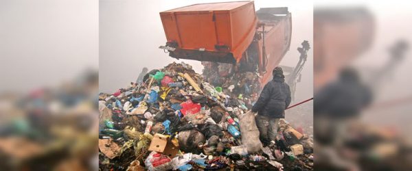 
			
												
				Фирму оштрафуют за нарушения в сортировке отходов в Солнечногорском районе