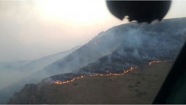 СК Армении завел дело после пожара в старейшем заповеднике страны