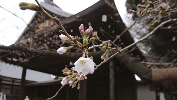 Абэ направил подношение в “милитаристский” храм Ясукуни
