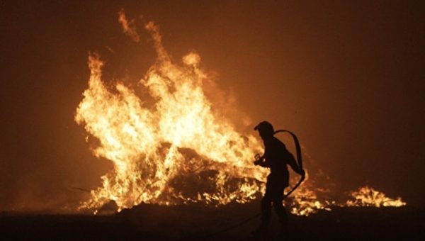 На Корсике локализовали два основных лесных пожара