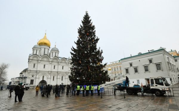 Главную новогоднюю елку России выберут в октябре в Подмосковье