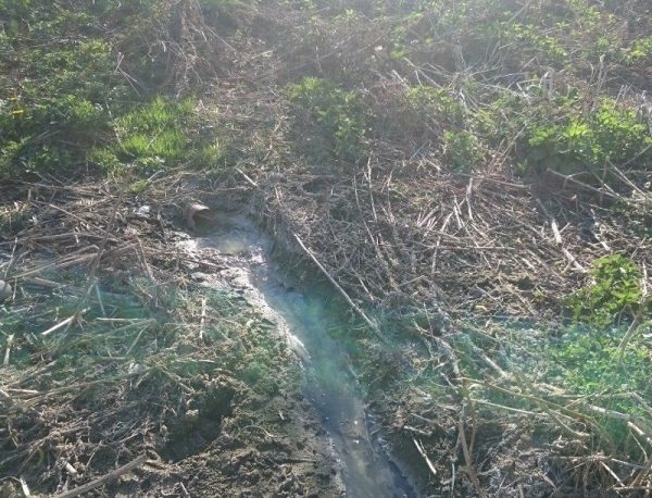 Минэкологии региона установило, что река в Сергиевом Посаде нуждается в срочной расчистке
