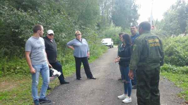 Свыше 200 человек приняли участие в антимусорных рейдах в лесах Подмосковья