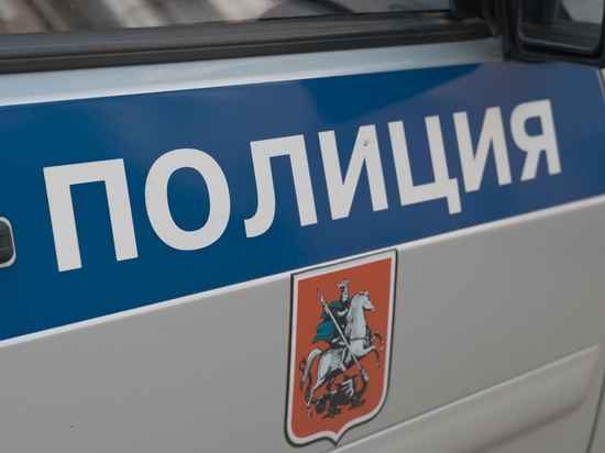 Полицейские задержали подозреваемых в нападении на сотрудника «скорой» в Подмосковье