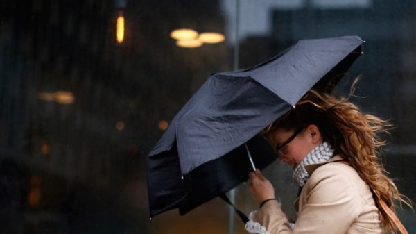 МЧС предупреждает о дожде и сильных порывах ветра в Подмосковье в воскресенье