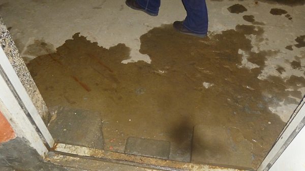 Активисты ОНФ будут добиваться ремонта затопленного подвала жилого дома в Воскресенске