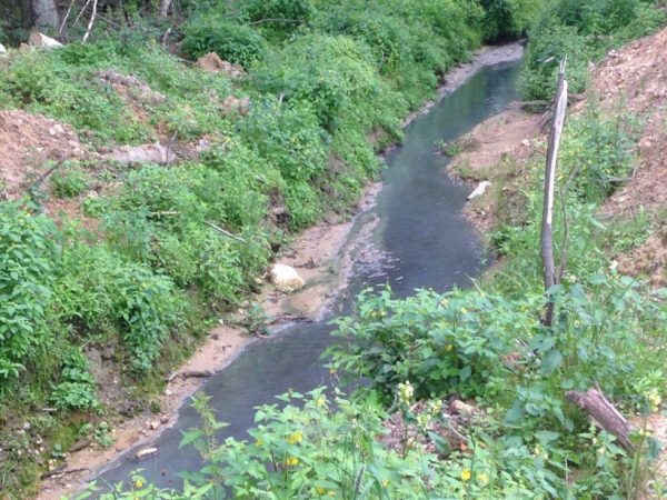 Областное Минэкологии наказало виновника загрязнения реки в Красногорске