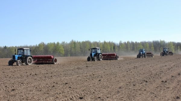 Порядка 2,5 тыс. га залежных земель ввели в сельхозоборот в Шаховской в 2017 году