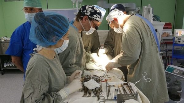 Число операций на сердце в Подмосковье выросло на 34% в 2017 году