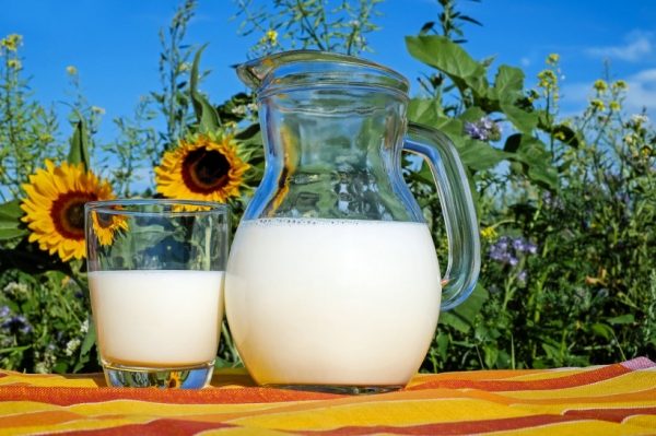 Новый молочный бренд «ЭкоНива» представят в Одинцовском районе в субботу