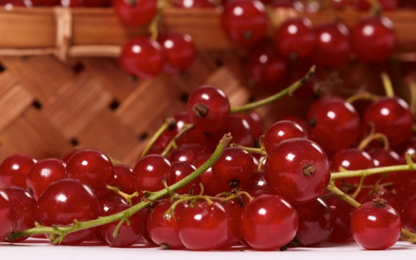 Завод по производству сиропов и фруктово-ягодных наполнителей планируют запустить в Подмосковье