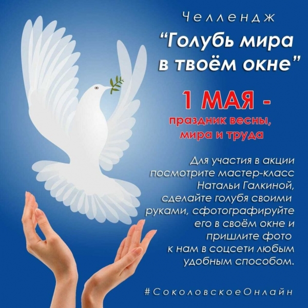 Челлендж «Голубь мира в твоем окне» запустили в Солнечногорье