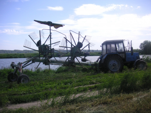 В Московской области скошено около 66 тыс. га кормов для скота на зиму