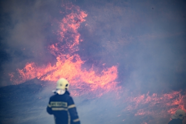 Жителей Подмосковья предупредили о высокой пожарной опасности