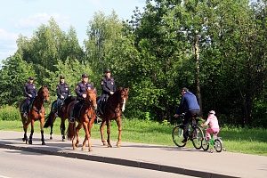 Конный полицейский патруль вернулся в Зеленоград