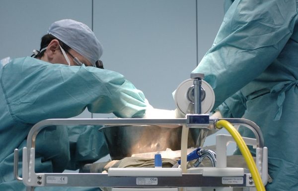 В Госдуме работают над законопроектом о пересадке органов погибших детей