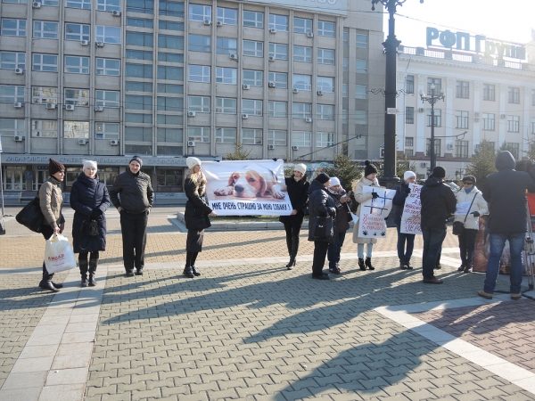 В Хабаровске прошел пикет с требованием ужесточить ответственность за убийство животных 