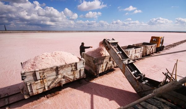 Лабиринты из соли: откуда в соляных шахтах Оренбуржья львы, дельфины и часовня