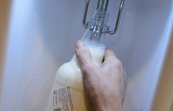 Во Владимирской области из-за вспышки ящура запрещена продажа разливного молока
