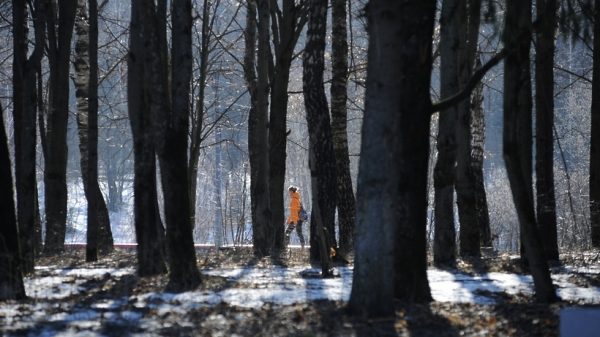 Пятый смотр-конкурс «Парки Подмосковья» начнется 3 апреля