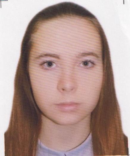 
			
												
				Без вести пропавшую школьницу разыскивают в Солнечногорском районе
