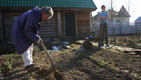 Садоводы обсудили кадастровую стоимость земли на съезде в Подмосковье