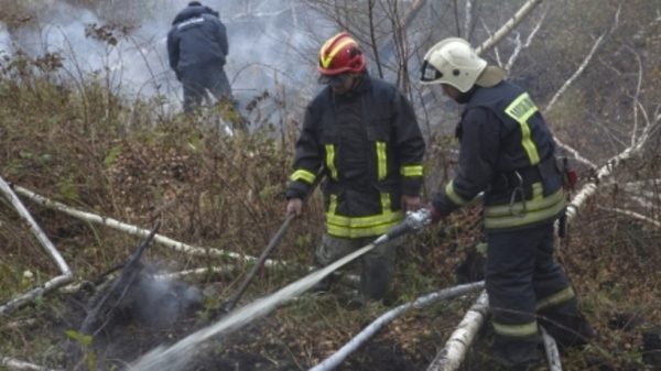 Природный пожар в Балашихе потушен