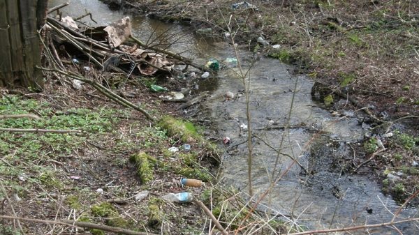 Компанию в Ленинском районе привлекли к ответственности за загрязнение реки