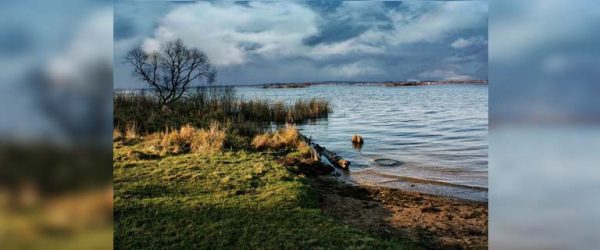 
			
												
				Плотину на озере Сенеж оформляют в собственность Московской области