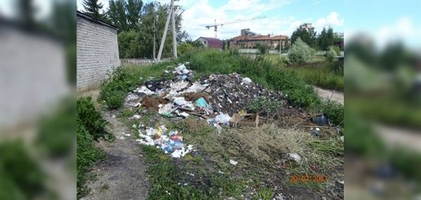 
			
												
				Муниципалитеты Солнечногорского района «отличились» количеством выявленного мусора