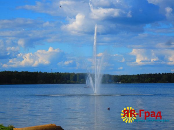 В Солнечногорском районе спасатели вытащили из озера тонущего мужчину