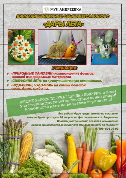 ДК «Андреевка» проводит конкурс-выставку плодов и букето