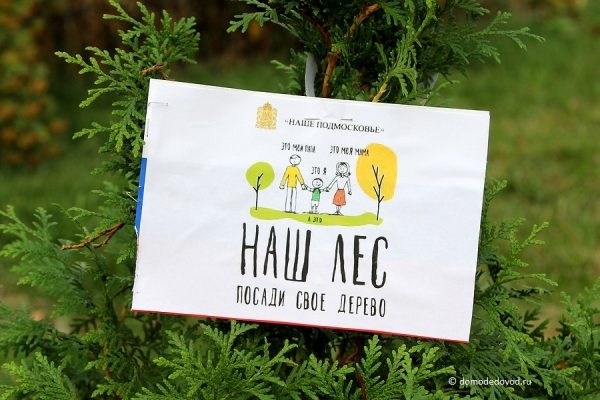 9 сентября в Солнечногорье пройдет акция «Наш лес. Посади своё дерево»