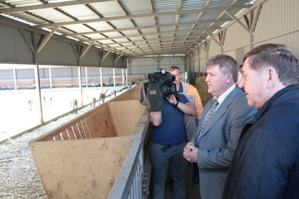 В Солнечногорском районе реализуется инвестиционный проект по созданию современного комплекса мясного и молочного направления