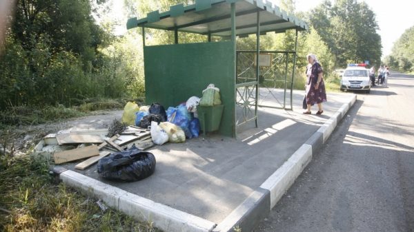 Почти 3 тыс. нарушителей чистоты выявили в Подольске в ходе рейдов #свиньЯ? за две недели