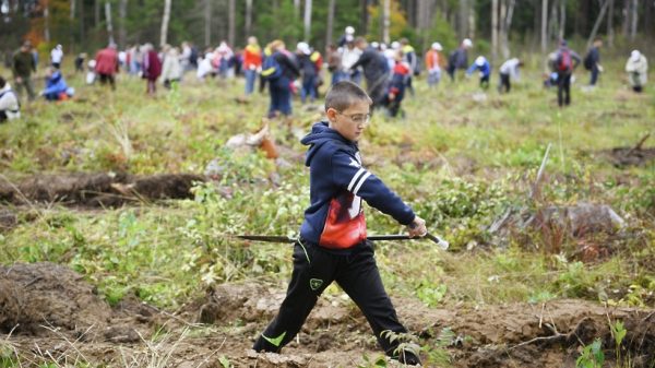 Свыше 150 тыс. человек приняли участие в акции «Наш лес. Посади свое дерево» в Подмосковье